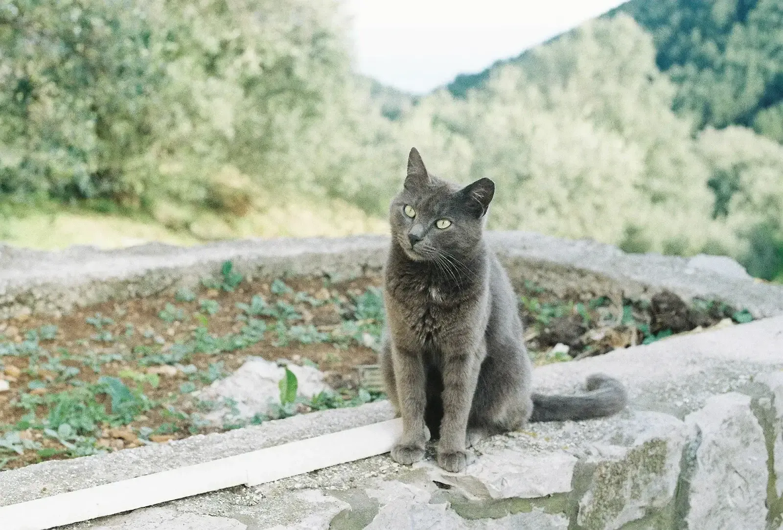 Croatia