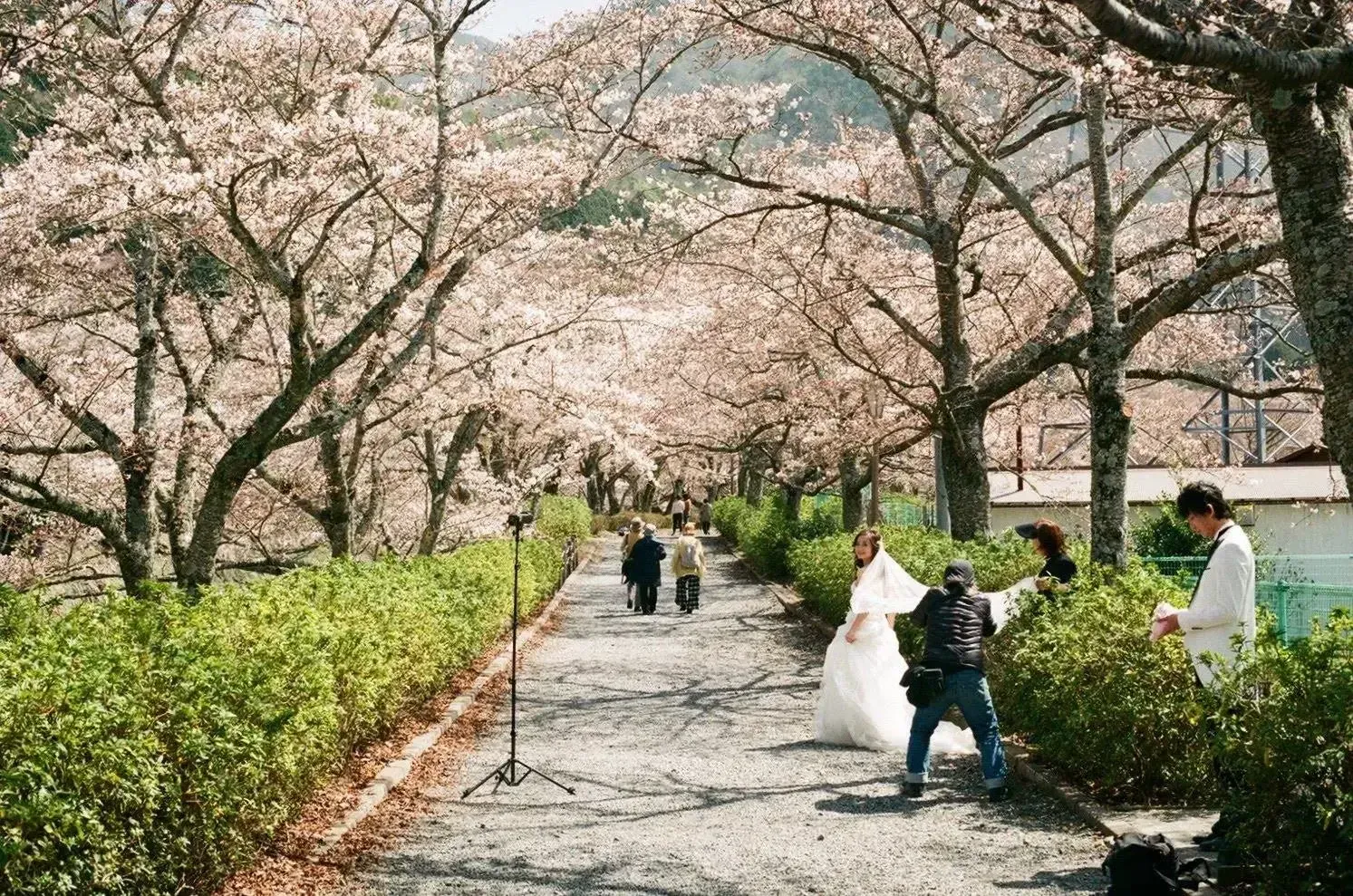 Japan